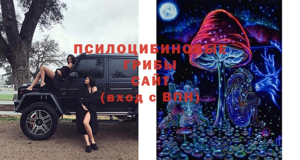 каннабис Аркадак