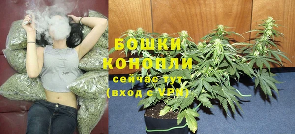 прущий лед Арсеньев