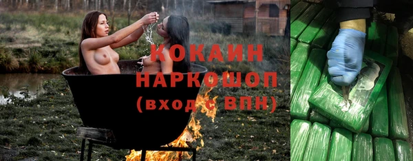 гашик Армянск